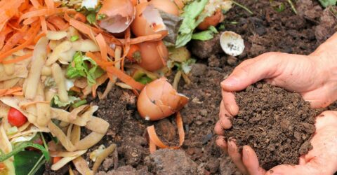 Réflexe compostage - Agglo du Pays de Dreux
